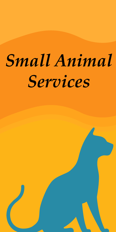 Small Animal Services
