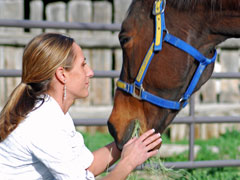 Person with Horse