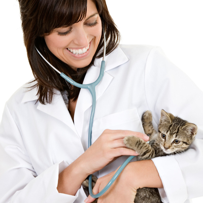 About Us - Lawrence County Animal Hospital - Lawrenceville, IL