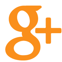 Google Icon