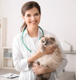 Doctor holding Fluffy Cat