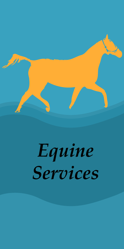 Equine Services