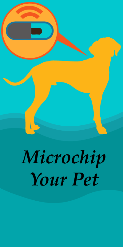 Microchip Your Pet