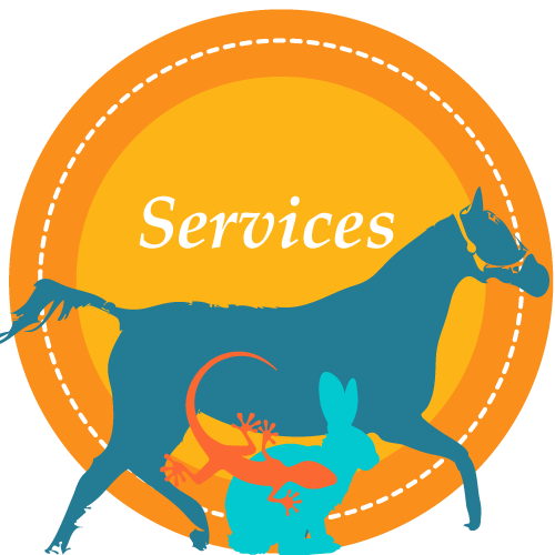 Services