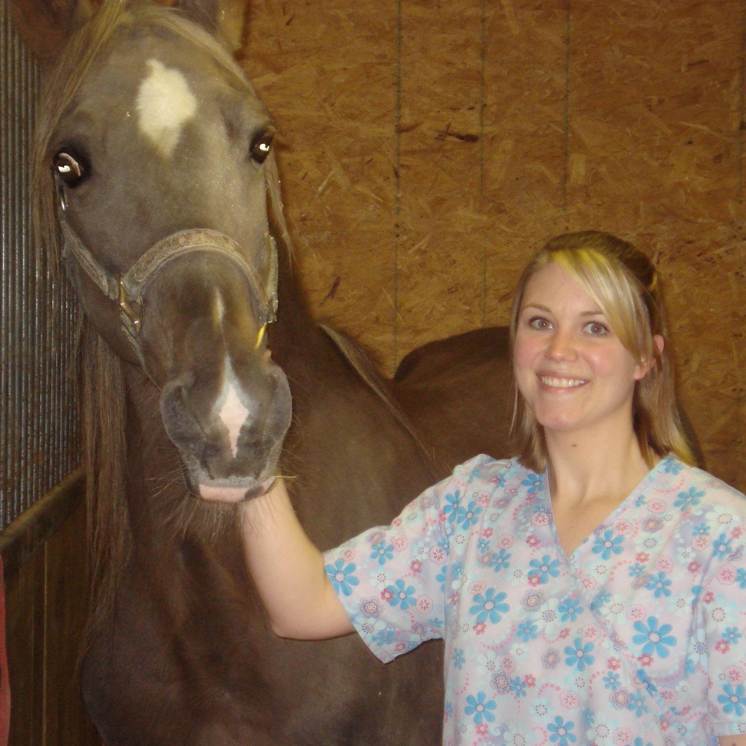 Person and Horse Person and Horse