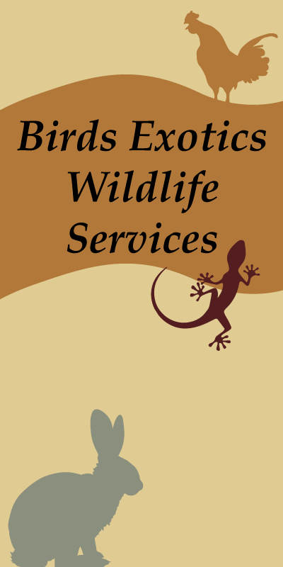 Birds Exotics and Wildlife Services